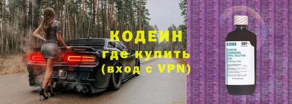 бошки Бородино