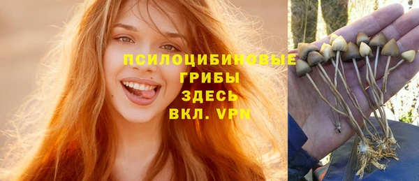 бошки Бородино