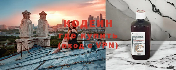 бошки Бородино
